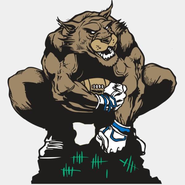 AR WILDCAT 34 RC Thumbnail