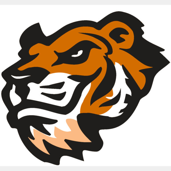 AR TIGER 21 RC Thumbnail