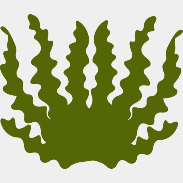 Sea Plant 2 Thumbnail