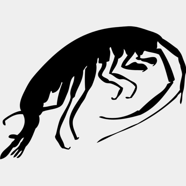 Shrimp Silhouette 5 Thumbnail