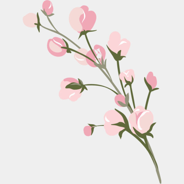 Pink Roses Flower 14 Thumbnail